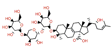 Ectyoplaside A